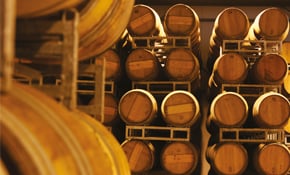 T4_Dicono di noi_VINADEIS