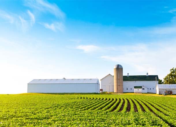 T9_Pagina settori_AGRICOLO