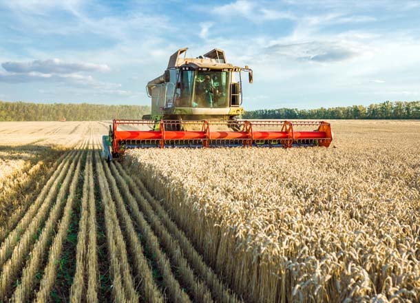 T9_Pagina settori_AGRICOLO1