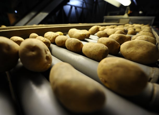 T9_Pagina settori_ALIMENTARE1