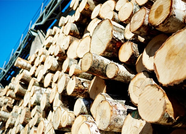 T9_Pagina settori_LEGNO