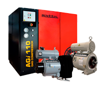 Insiem AGI RVRV RVA piccola